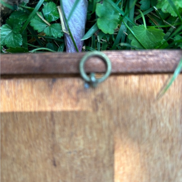 Rare Vintage Seashell Shadow Boxes ~ Wood & Black Velvet ~ Set of 2 - Picture 3 of 7